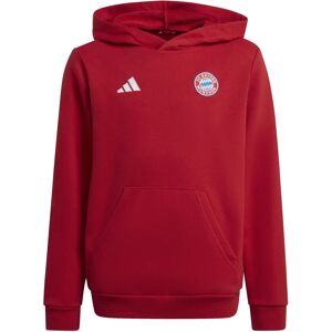 Adidas Child hoodie Bayern Munich 2024/25 Rouge 13/14 years Unisex Adidas Child hoodie Bayern Munich 2024/25 Rouge 13/14 years Unisex