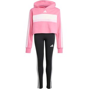 Girls' leggings and hoodie set adidas Essentials Tiberio 3 Stripes Rose 13/14 years Female Girls' leggings and hoodie set adidas Essentials Tiberio 3 Stripes Rose 13/14 years Female
