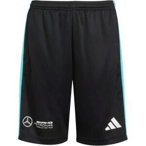 Children's shorts adidas Mercedes - AMG Petronas Formula One Team DNA Noir 13/14 years Unisex Children's shorts adidas Mercedes - AMG Petronas Formula One Team DNA Noir 13/14 years Unisex
