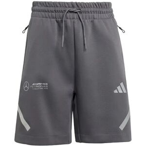 Adidas Mercedes AMG Kids' Shorts AMG Petronas Gris 9/10 years Unisex Adidas Mercedes AMG Kids' Shorts AMG Petronas Gris 9/10 years Unisex