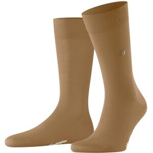 Football Socks Burlington Lord Marron 40/46 Male Football Socks Burlington Lord Marron 40/46 Male