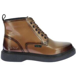 Women's boots Kickers Orasie Marron 37 Female Women's boots Kickers Orasie Marron 37 Female