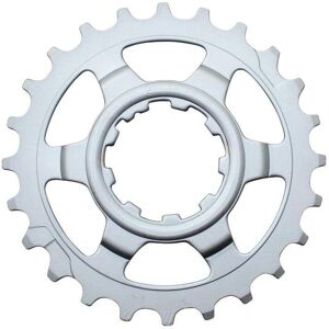 Sprocket last position Miche Shimano 10 V Argenté 24T Unisex Sprocket last position Miche Shimano 10 V Argenté 24T Unisex