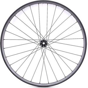 Front wheel Lapierre 6T Boost TLR Noir 29" Unisex Front wheel Lapierre 6T Boost TLR Noir 29" Unisex