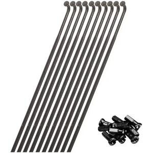 Wheel radius front rear Miche XM-50/XM-45 (x10) Argenté 29" Unisex Wheel radius front rear Miche XM-50/XM-45 (x10) Argenté 29" Unisex