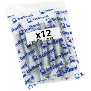 Bag of 12 hexagonal screws P2R Argenté M8 x 25 mm Unisex Bag of 12 hexagonal screws P2R Argenté M8 x 25 mm Unisex