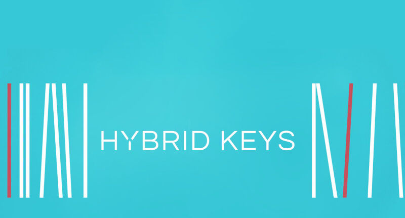 Kinguin Native Instruments Hybrid Keys PC/MAC CD Key