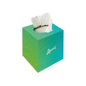 2Work Facial Tissue Cube Box 70 Sheets 2-Ply (Pack of 24) CPD13550 2Work Facial Tissue Cube Box 70 Sheets 2-Ply (Pack of 24) CPD13550
