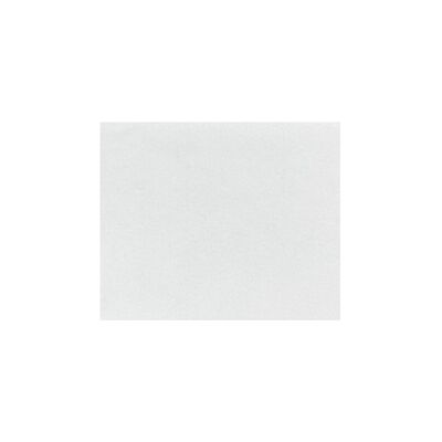 Fiesta Compostable Burger Wraps White 250x300mm (200 Pack) Fiesta Compostable Burger Wraps White 250x300mm (200 Pack)
