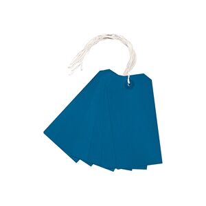 Unbranded Strung Tag 120x60mm Blue (1000 Pack) KF01625 Unbranded Strung Tag 120x60mm Blue (1000 Pack) KF01625