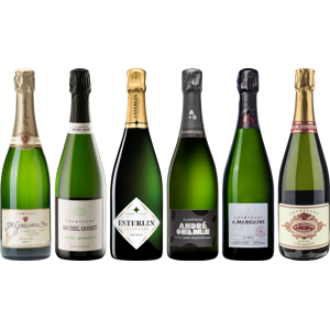 8Wines.com Top Value Champagne Tasting Case 8Wines.com Top Value Champagne Tasting Case