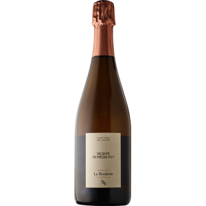 Champagne Domaine la Borderie De Quoi Te Meles Tu Blanc de Noirs Extra Brut Champagne Domaine la Borderie De Quoi Te Meles Tu Blanc de Noirs Extra Brut
