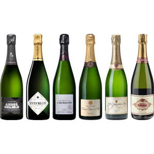 8Wines.com Top Value Champagne Tasting Case 8Wines.com Top Value Champagne Tasting Case