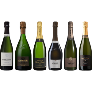8Wines.com Vintage Champagne Premium Tasting Case 8Wines.com Vintage Champagne Premium Tasting Case