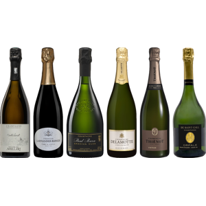 8Wines.com Vintage Champagne Premium Tasting Case 8Wines.com Vintage Champagne Premium Tasting Case