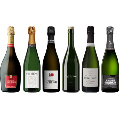 8Wines.com Grower Champagne Premium Tasting Case 8Wines.com Grower Champagne Premium Tasting Case