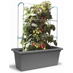 Gardenico Self-watering Mobile Living Wall Kit - 1000mm - Stone Grey Gardenico Self-watering Mobile Living Wall Kit - 1000mm - Stone Grey