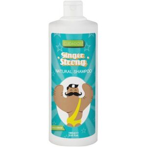 Cuidados Strong Ginger Shampoo 1000 ml 1 L Cuidados Strong Ginger Shampoo 1000 ml 1 L