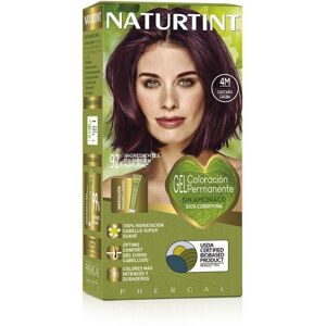 Naturtint Permanent Hair Color Gel, Ammonia-Free Dye 4M Chestnut Naturtint Permanent Hair Color Gel, Ammonia-Free Dye 4M Chestnut