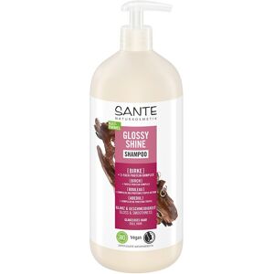 Sante Radiant Shine Shampoo 950 ml Sante Radiant Shine Shampoo 950 ml
