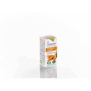 Esential'arôms Essence Carrot Seed Esential'arôms Essence Carrot Seed