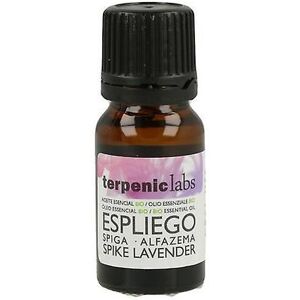 Terpenic Lab Lavender Essential Oil 10 ml Terpenic Lab Lavender Essential Oil 10 ml