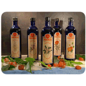 Radhe Shyam Apricot Oil 200 ml Radhe Shyam Apricot Oil 200 ml