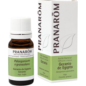 Pranarom Geranium Essential Oil from Egypt 10 ml Pranarom Geranium Essential Oil from Egypt 10 ml
