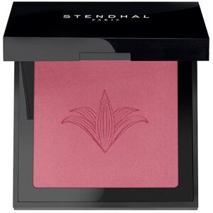 Stendhal Illuminating Blush 8 gr 303 Stendhal Illuminating Blush 8 gr 303