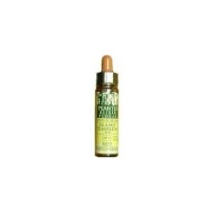 Artesania Agrícola Cerato Plantis No. 05 10 ml Artesania Agrícola Cerato Plantis No. 05 10 ml
