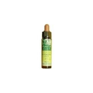 Artesania Agrícola Larch Plantis No. 19 10 ml Artesania Agrícola Larch Plantis No. 19 10 ml