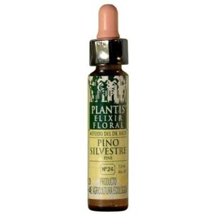 Artesania Agrícola Pine Plantis N 24 10 ml Artesania Agrícola Pine Plantis N 24 10 ml