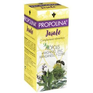 Artesania Agrícola Propolina Syrup 500 ml Artesania Agrícola Propolina Syrup 500 ml