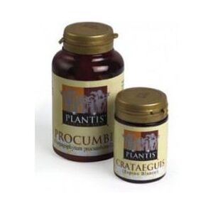 Plantis Ginkgo Biloba 60 Capsules - Supports Brain Circulation Plantis Ginkgo Biloba 60 Capsules - Supports Brain Circulation