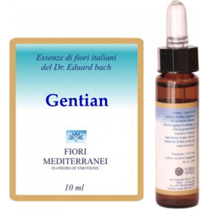 Forza Vitale Fm 12 Gentian 10 ml Forza Vitale Fm 12 Gentian 10 ml