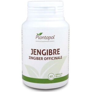 Plantapol Ginger 600mg Capsules - Dietary Supplement Plantapol Ginger 600mg Capsules - Dietary Supplement