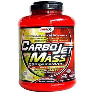 Amix Carbojet Mass Professional Vanilla 1.8 Kg Amix Carbojet Mass Professional Vanilla 1.8 Kg