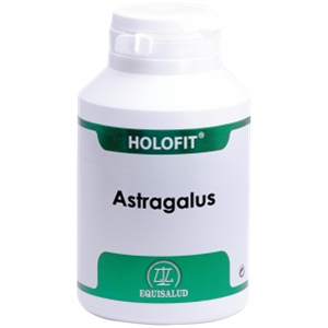 Equisalud Holofit Astragalus - Immune Support - 180 Capsules Equisalud Holofit Astragalus - Immune Support - 180 Capsules