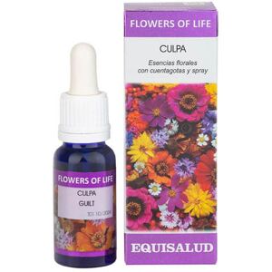 Equisalud Flower Of Life Guilt 15 ml Equisalud Flower Of Life Guilt 15 ml