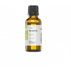 Terpenic Lab Evo Niaouli Essential Oil Oral Use 30 ml Terpenic Lab Evo Niaouli Essential Oil Oral Use 30 ml