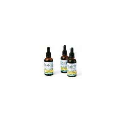 Maese Herbario Lichen Extract - Herbal Supplement Maese Herbario Lichen Extract - Herbal Supplement