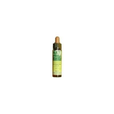 Plantis Chestnut Sprout No. 7 Eco - Floral Elixir Plantis Chestnut Sprout No. 7 Eco - Floral Elixir