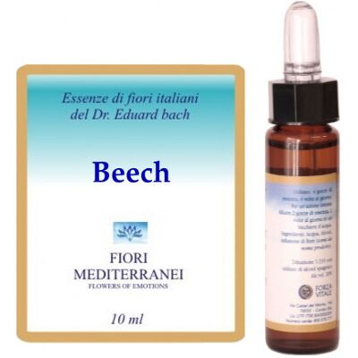 Forza Vitale Beech Floral Elixir - Emotional Balance Support Forza Vitale Beech Floral Elixir - Emotional Balance Support