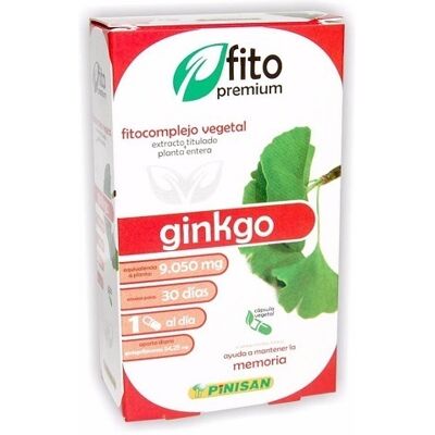 Pinisan Ginkgo Biloba 30 capsules - Dietary Supplement Pinisan Ginkgo Biloba 30 capsules - Dietary Supplement
