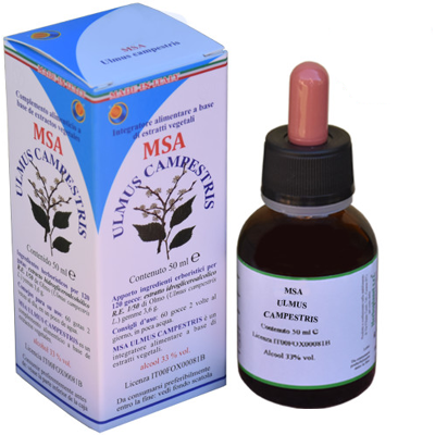 Herboplanet Msa Ulmus Campestris 50ml - Supplement Herboplanet Msa Ulmus Campestris 50ml - Supplement