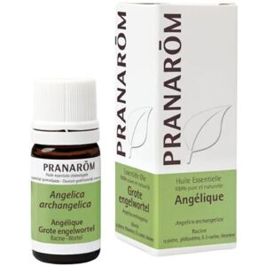 Pranarom Angelica Essential Oil 5 ml 5 ml Pranarom Angelica Essential Oil 5 ml 5 ml