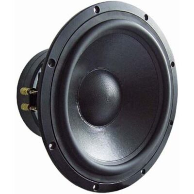 Visaton TIW 300 - 8 Ohm 12-inch woofer Visaton TIW 300 - 8 Ohm 12-inch woofer