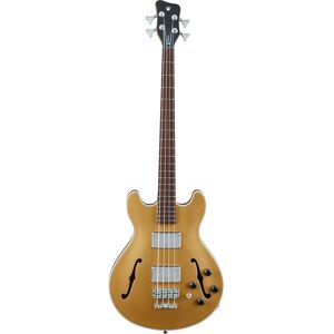 Warwick RockBass Star Bass Metallic Gold High Polish Semi-Acoustic Bass Guitar Warwick RockBass Star Bass Metallic Gold High Polish Semi-Acoustic Bass Guitar