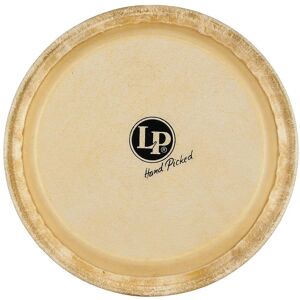 Latin Percussion LP266A MTD Rawhide Jr. Conga Head, 8″ Latin Percussion LP266A MTD Rawhide Jr. Conga Head, 8″