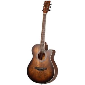 Fazley W55-COL-BR ColourTune Acoustic Guitar (Brown) Fazley W55-COL-BR ColourTune Acoustic Guitar (Brown)